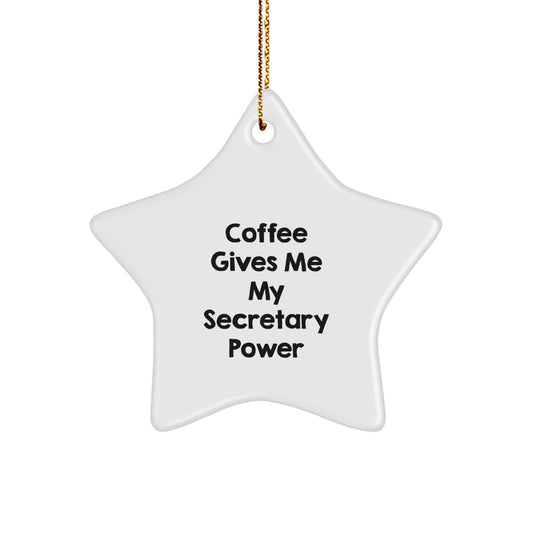 Funny Secretary Star Ornament Gifts from Loved Ones to Secretaries on Christmas Unique Gifts - Image 1