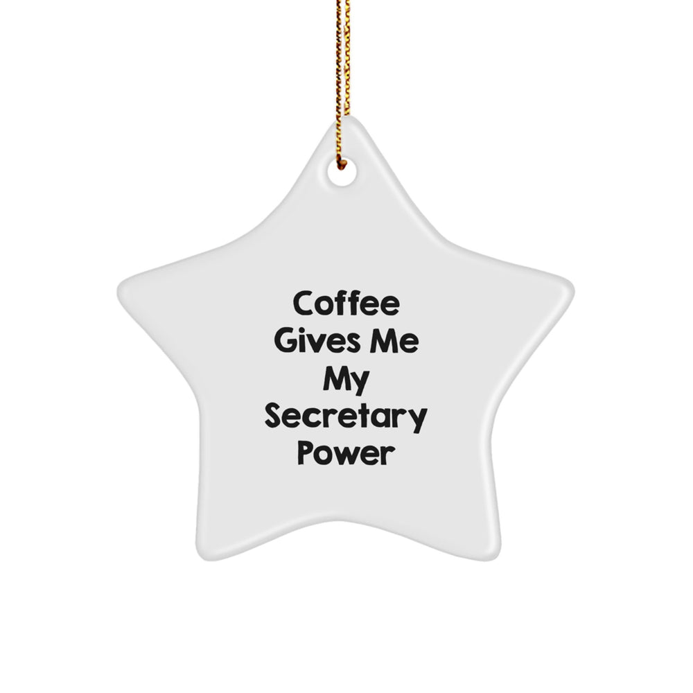 Funny Secretary Star Ornament Gifts from Loved Ones to Secretaries on Christmas Unique Gifts - Image 1