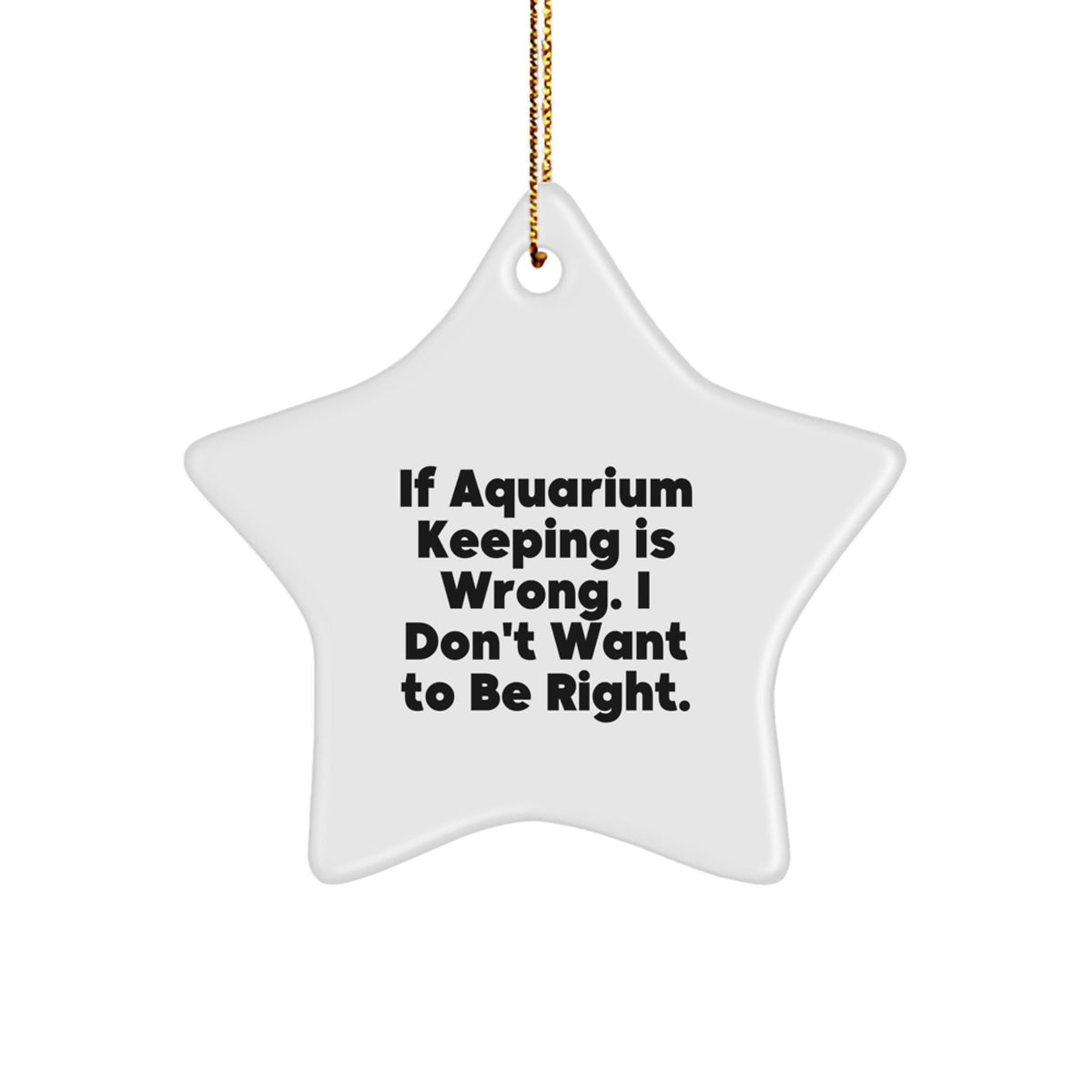 Christmas Unique Gift Her Aquarium Keeping Star Ornament Bright Present - Image 1