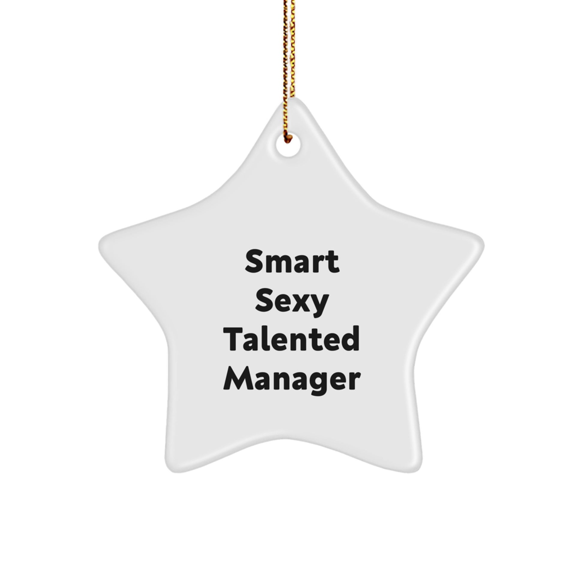 Funny Manager Star Ornament Gifts from Friends for Men's Christmas Unique Ornaments - Image 1