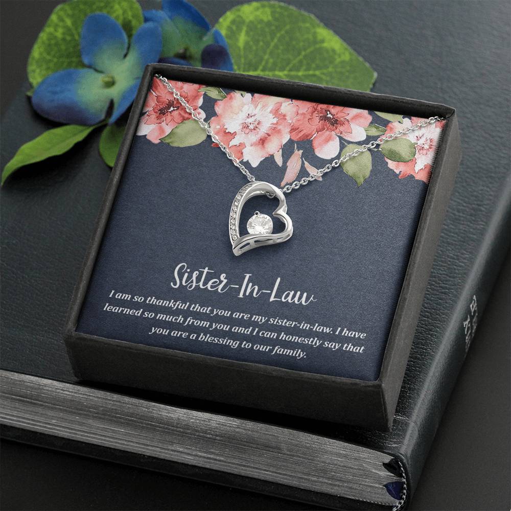 To My Sister-in-law Gifts, I Have Learned So Much from You, Forever Love Heart Necklace For Women, Birthday Present Idea From Sister