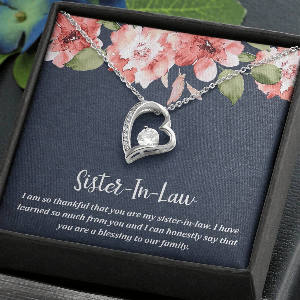 To My Sister-in-law Gifts, I Have Learned So Much from You, Forever Love Heart Necklace For Women, Birthday Present Idea From Sister