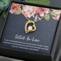 Load image into Gallery viewer, To My Sister-in-law Gifts, I Have Learned So Much from You, Forever Love Heart Necklace For Women, Birthday Present Idea From Sister
