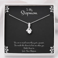 Load image into Gallery viewer, To My Stepmom Gifts, You Are More Than Just A Parent, Alluring Beauty Necklace For Women, Birthday Mothers Day Present From Stepson
