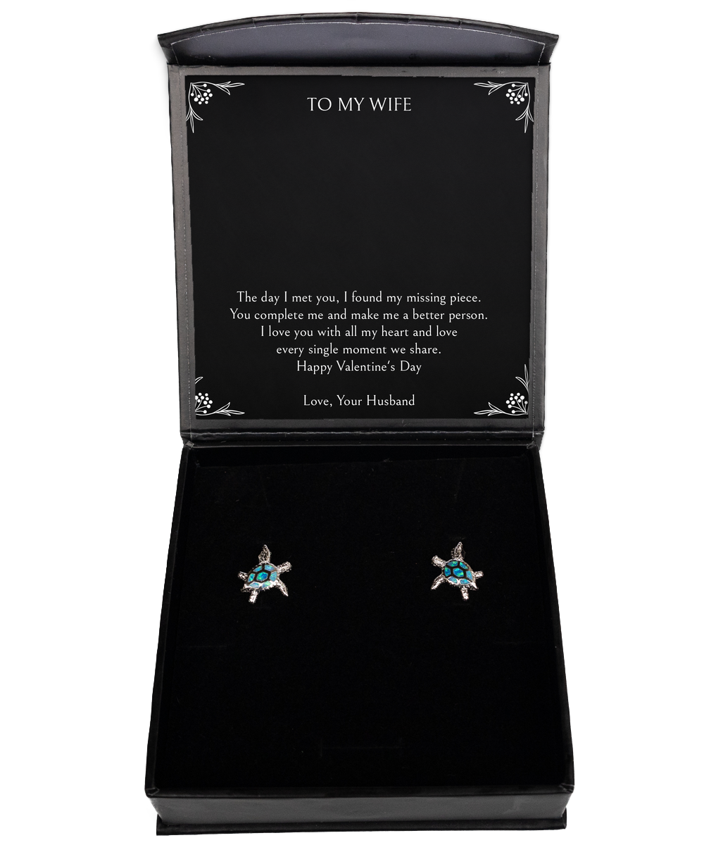To My Wife, The Day I Met You, Opal Turtle Earrings For Women, Valentines Day Gifts From Husband
