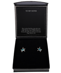 Load image into Gallery viewer, To My Sister Gifts, You Mean The World To Me, Opal Turtle Earrings For Women, Valentines Day Jewelry Gifts From Sister
