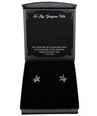 Load image into Gallery viewer, To My Wife, You Made Me The Luckiest, Opal Turtle Earrings For Women, Valentines Day Gifts From Husband
