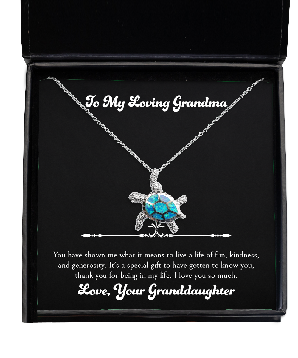 To My Grandma Gifts, Thank You For Being In My Life, Opal Turtle Necklace For Women, Birthday Mothers Day Present From Granddaughter