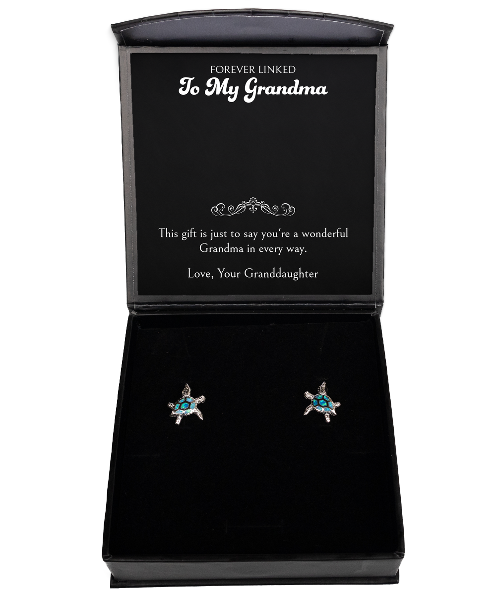 To My Grandma Gifts, You're A Wonderful Grandma, Opal Turtle Earrings For Women, Birthday Mothers Day Present From Granddaughter