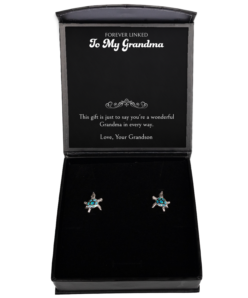 To My Grandma Gifts, You're A Wonderful Grandma, Opal Turtle Earrings For Women, Birthday Mothers Day Present From Grandson
