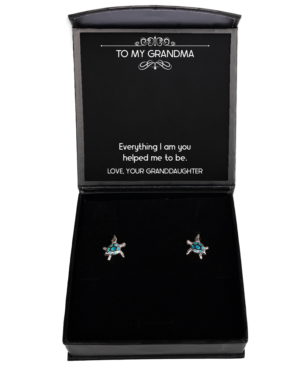 To My Grandma Gifts, Everything I Am You Helped Me To Be, Opal Turtle Earrings For Women, Birthday Mothers Day Present From Granddaughter