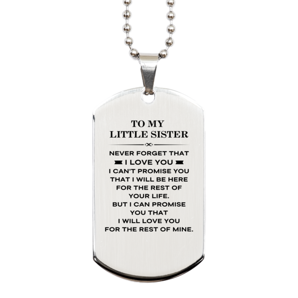 To My Little Sister Gifts, I will love you for the rest of mine, Love Little Sister Dog Tag Necklace, Birthday Christmas Unique Silver Dog Tag For Little Sister