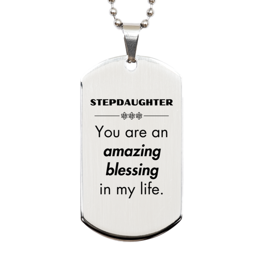 Stepdaughter Silver Dog Tag Necklace - You are an amazing blessing in my life | Inspirational Gift