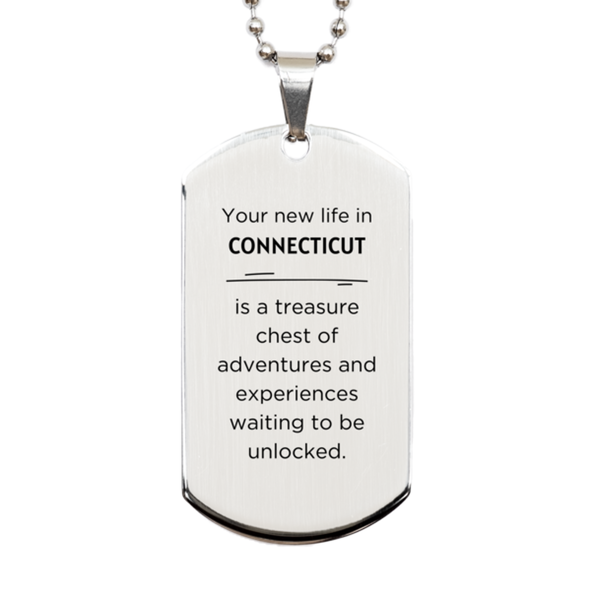 Moving to Connecticut Gifts, Your new life in Connecticut, Long Distance Connecticut Christmas Silver Dog Tag For Men, Women, Friends, Coworkers