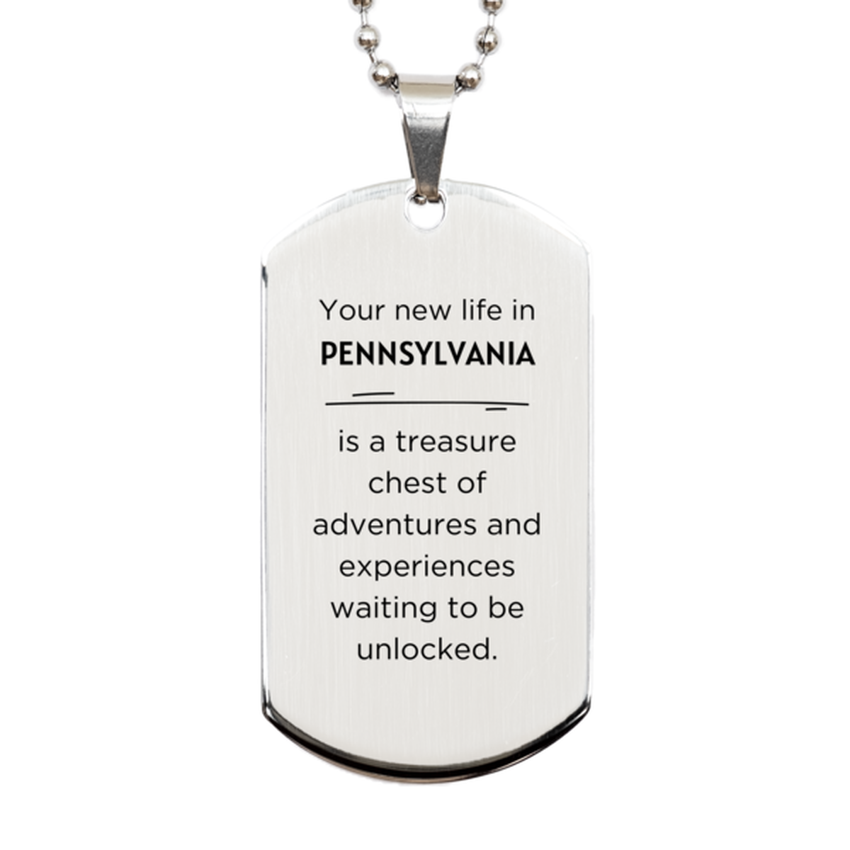 Moving to Pennsylvania Gifts, Your new life in Pennsylvania, Long Distance Pennsylvania Christmas Silver Dog Tag For Men, Women, Friends, Coworkers