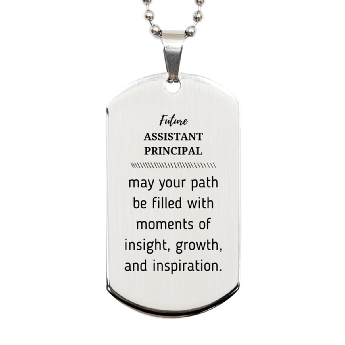 Future Assistant Principal Gifts, May your path be filled with moments of insight, Graduation Gifts for New Assistant Principal, Christmas Unique Silver Dog Tag For Men, Women, Friends