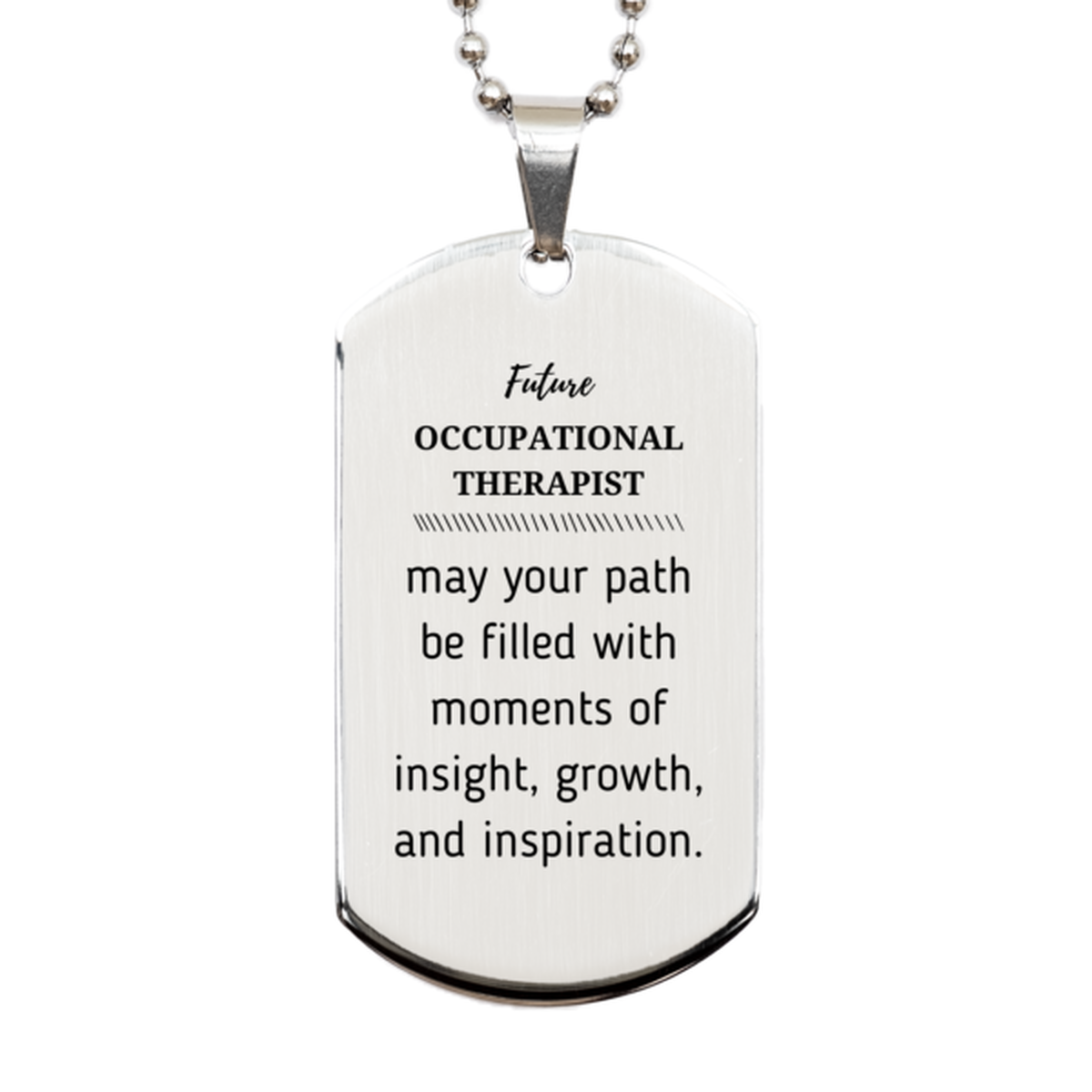 Future Occupational Therapist Gifts, May your path be filled with moments of insight, Graduation Gifts for New Occupational Therapist, Christmas Unique Silver Dog Tag For Men, Women, Friends