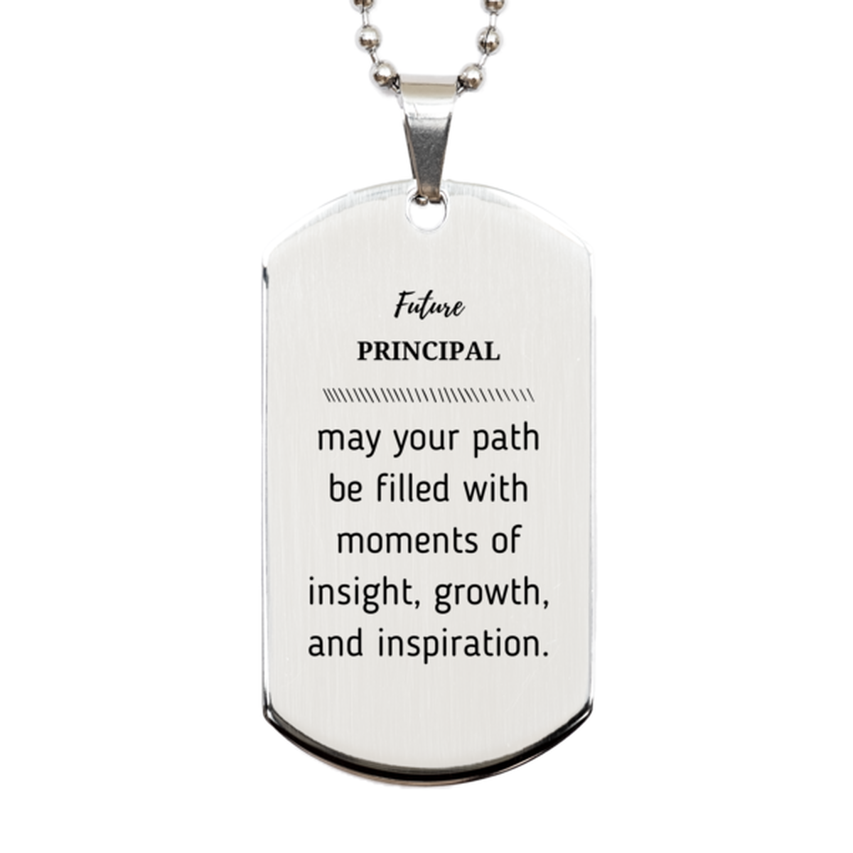 Future Principal Gifts, May your path be filled with moments of insight, Graduation Gifts for New Principal, Christmas Unique Silver Dog Tag For Men, Women, Friends
