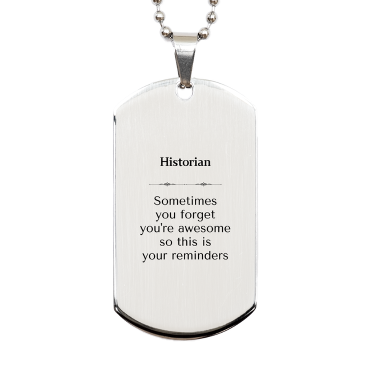 Sentimental Historian Silver Dog Tag, Historian Sometimes you forget you're awesome so this is your reminders, Graduation Christmas Birthday Gifts for Historian, Men, Women, Coworkers