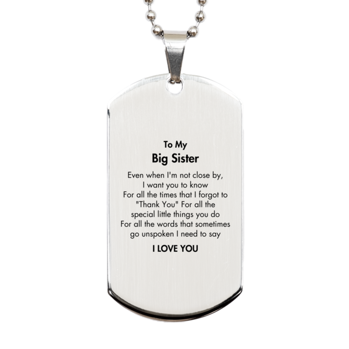 Thank You Gifts for Big Sister, Keepsake Silver Dog Tag Gifts for Big Sister Birthday Mother's day Father's Day Big Sister For all the words That sometimes go unspoken I need to say I LOVE YOU