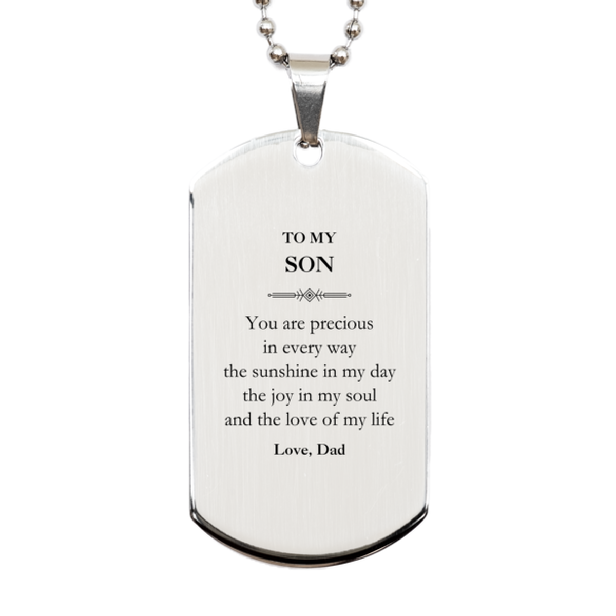 Graduation Gifts for Son Silver Dog Tag Present from Dad, Christmas Son Birthday Gifts Son You are precious in every way the sunshine in my day. Love, Dad