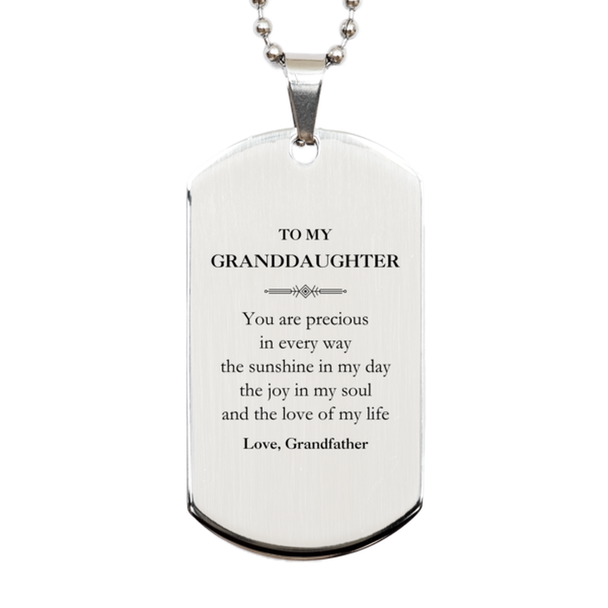 Graduation Gifts for Granddaughter Silver Dog Tag Present from Grandfather, Christmas Granddaughter Birthday Gifts Granddaughter You are precious in every way the sunshine in my day. Love, Grandfather