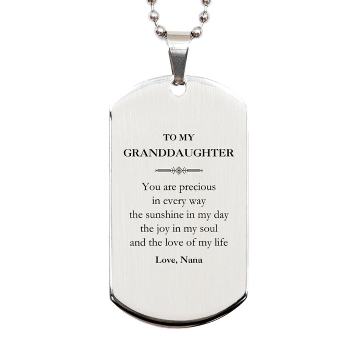 Graduation Gifts for Granddaughter Silver Dog Tag Present from Nana, Christmas Granddaughter Birthday Gifts Granddaughter You are precious in every way the sunshine in my day. Love, Nana