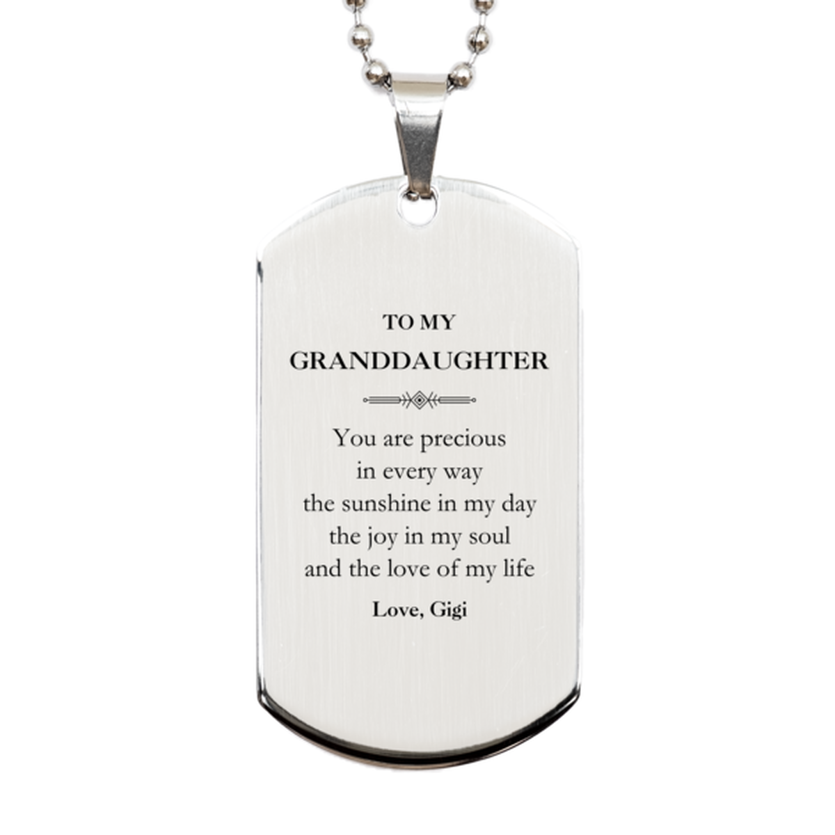 Granddaughter Silver Dog Tag Necklace - You Are Precious Design | Graduation Gift