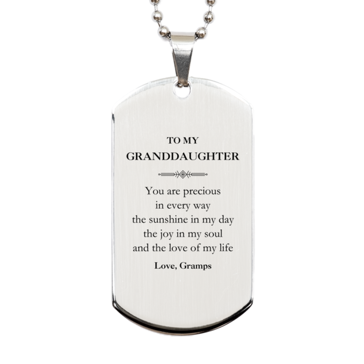 Graduation Gifts for Granddaughter Silver Dog Tag Present from Gramps, Christmas Granddaughter Birthday Gifts Granddaughter You are precious in every way the sunshine in my day. Love, Gramps