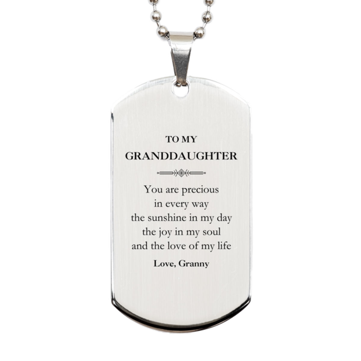 Graduation Gifts for Granddaughter Silver Dog Tag Present from Granny, Christmas Granddaughter Birthday Gifts Granddaughter You are precious in every way the sunshine in my day. Love, Granny