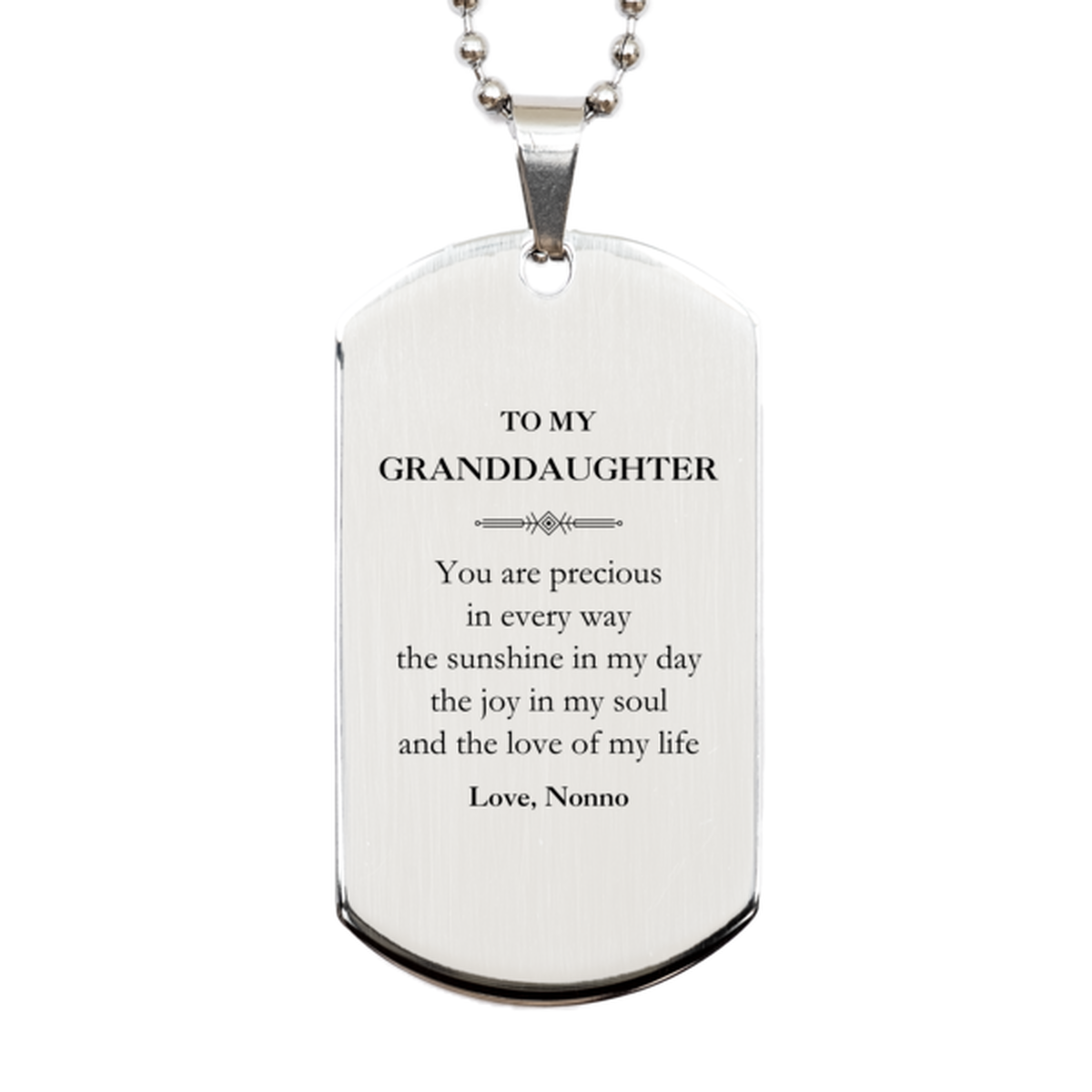 Granddaughter Silver Dog Tag Necklace - You Are Precious Design | Graduation Gift