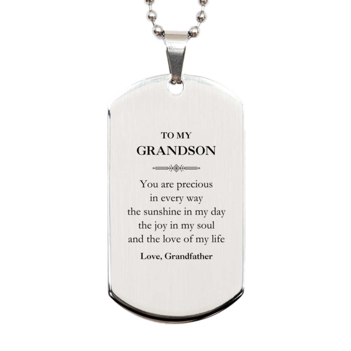 Grandson Silver Dog Tag Necklace - You Are Precious Design | Graduation Gift