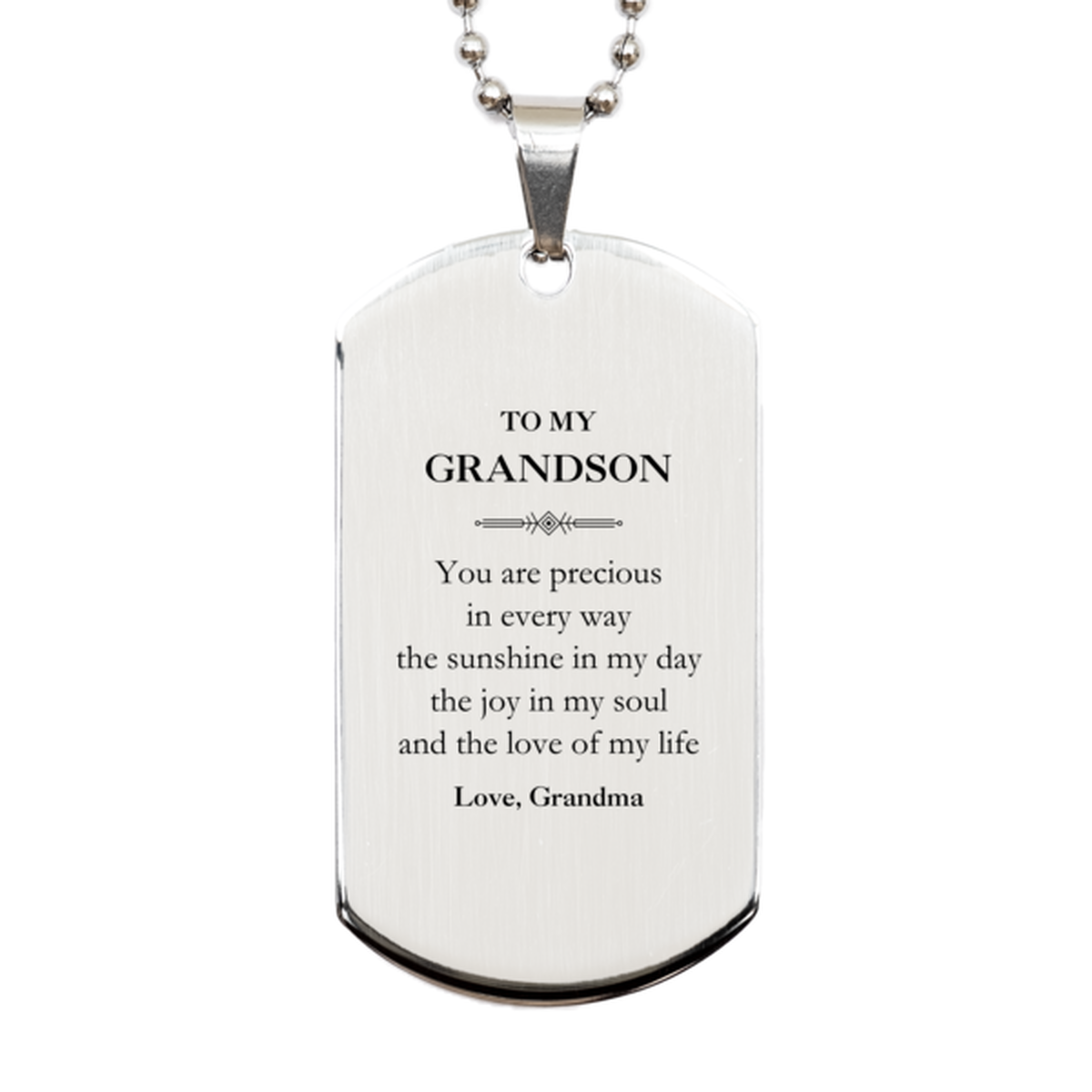 Graduation Gifts for Grandson Silver Dog Tag Present from Grandma, Christmas Grandson Birthday Gifts Grandson You are precious in every way the sunshine in my day. Love, Grandma