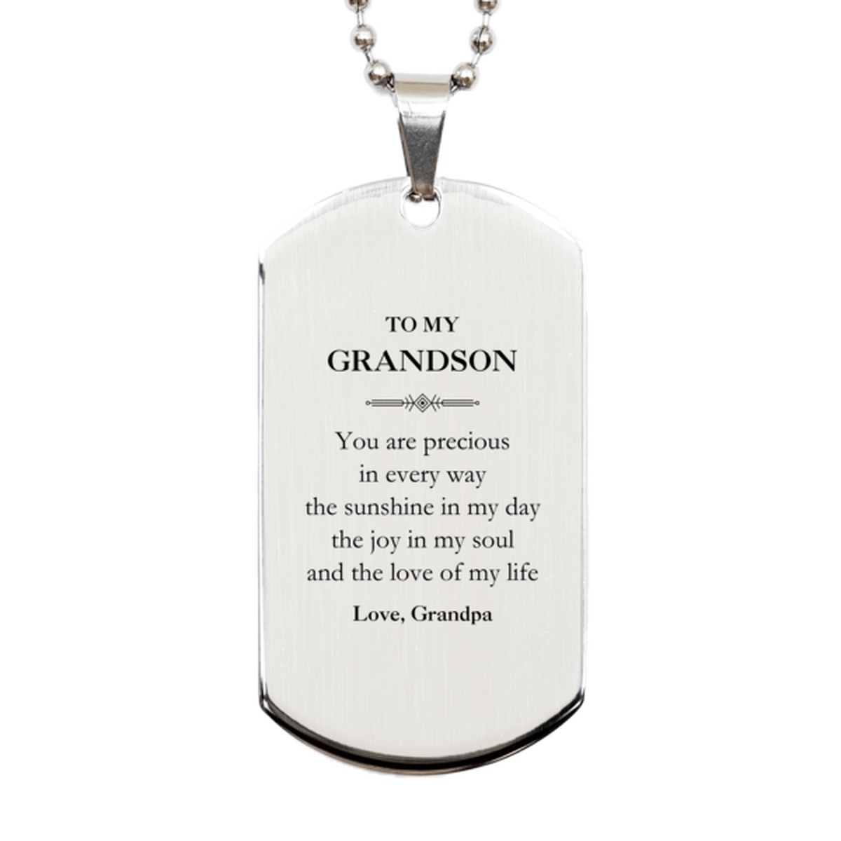 Graduation Gifts for Grandson Silver Dog Tag Present from Grandpa, Christmas Grandson Birthday Gifts Grandson You are precious in every way the sunshine in my day. Love, Grandpa