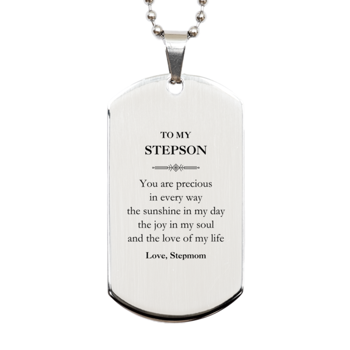 Graduation Gifts for Stepson Silver Dog Tag Present from Stepmom, Christmas Stepson Birthday Gifts Stepson You are precious in every way the sunshine in my day. Love, Stepmom