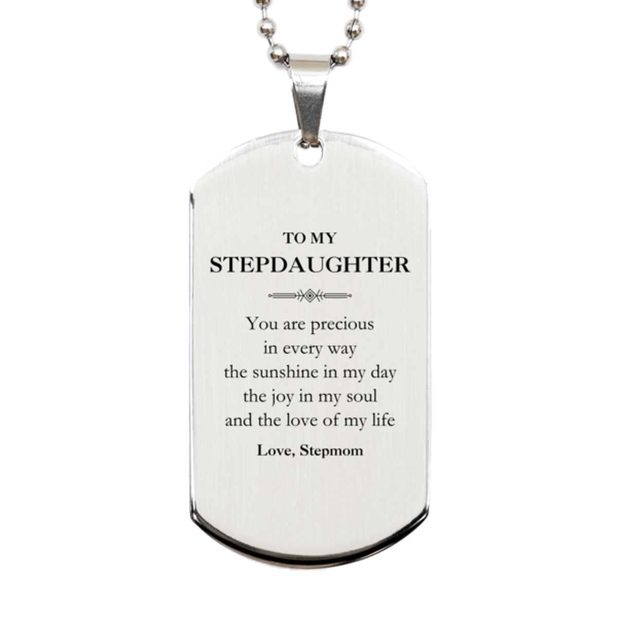 Stepdaughter Silver Dog Tag Necklace - You Are Precious | Birthday & Graduation Gift